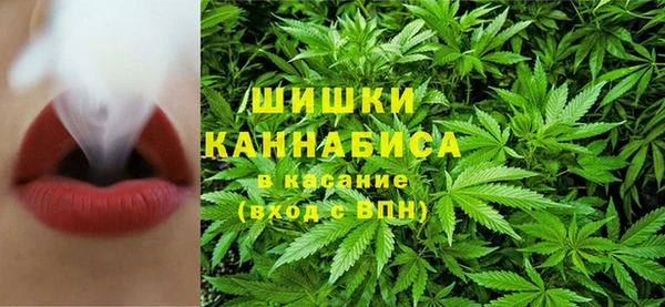 a pvp Гусь-Хрустальный