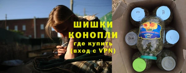 дурь Краснотурьинск
