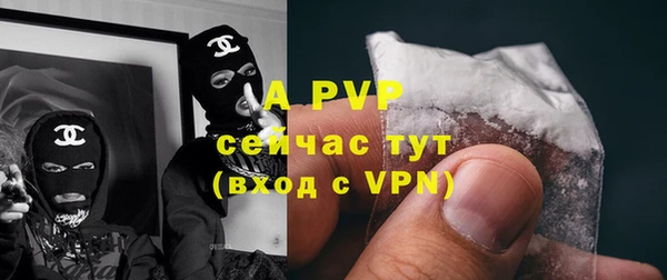 a pvp Гусь-Хрустальный