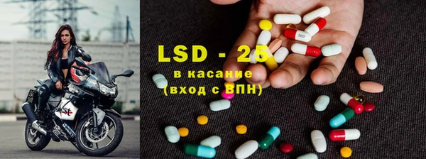 стафф Дмитриев