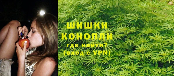 хмурый Гусиноозёрск