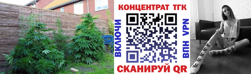 ссылка на мегу зеркало  купить наркотик  Салехард  это как зайти  ТГК THC oil 